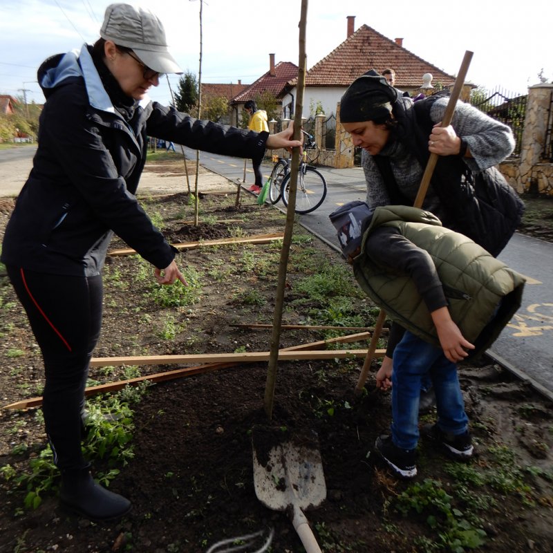 Közösségi faültetés Berettyóújfaluban 29